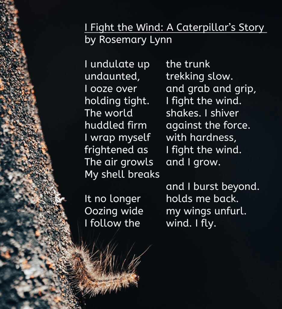 black background with a tree trunk at the side and a caterpillar climbing the trunk, with words of the poem in white on top of the image